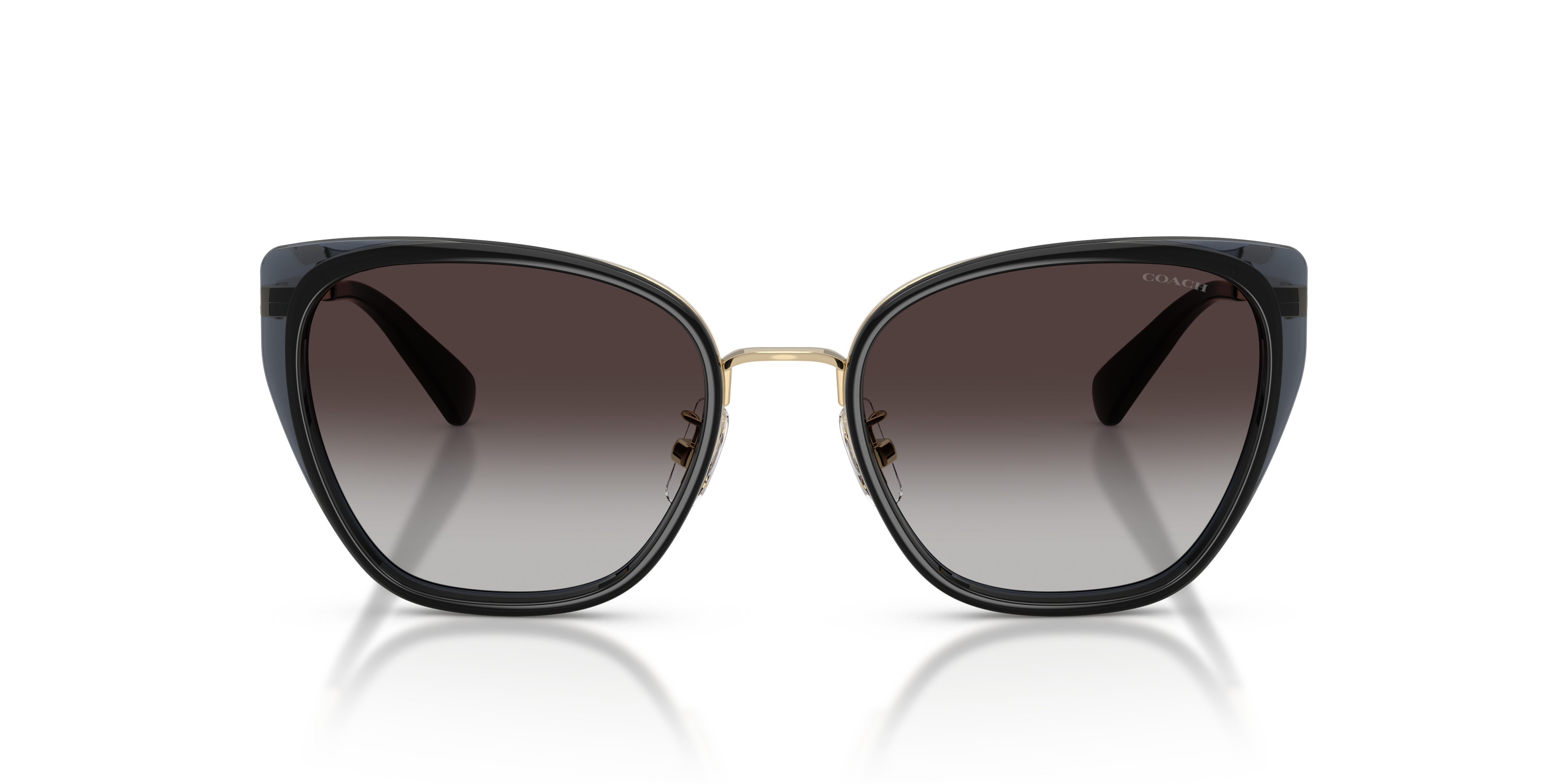 Coach HC7187 94848G Cdp56 